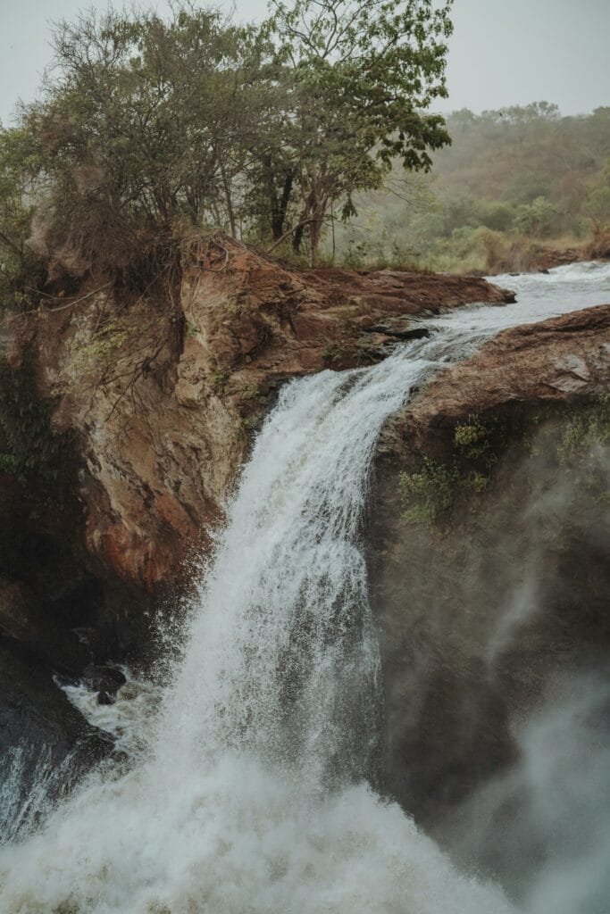 jasmin ne jbCnwkDr5rQ unsplash
